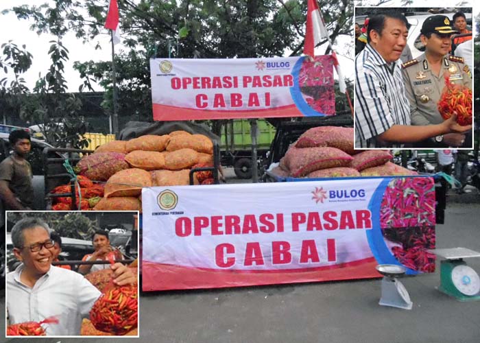 Cabai Melambung, Kementan-Bulog Gelontorkan Empat Ton